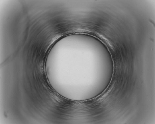 X0000091541170200708171004