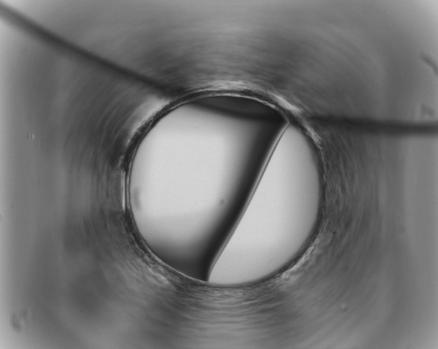 X0000091541171200708171004