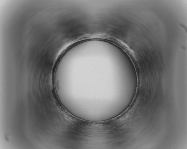 X0000091541174200708171004