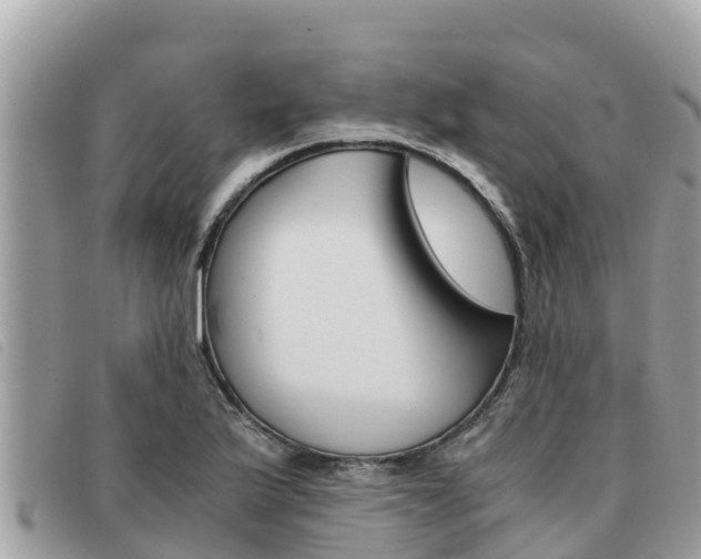 X0000091541175200708171004