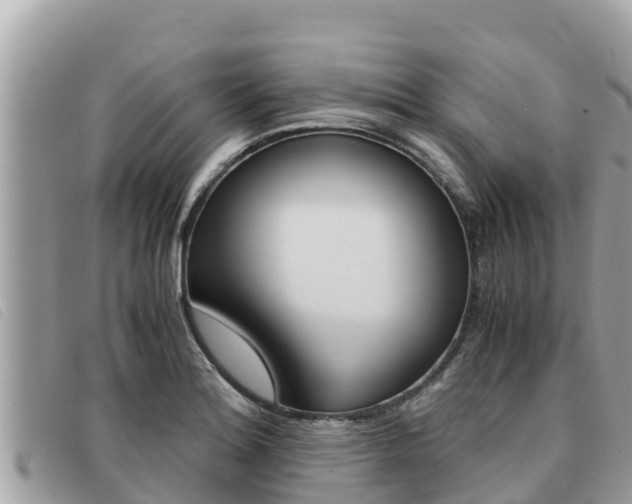 X0000091541180200708171004