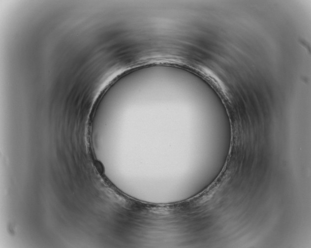 X0000091541182200708171004