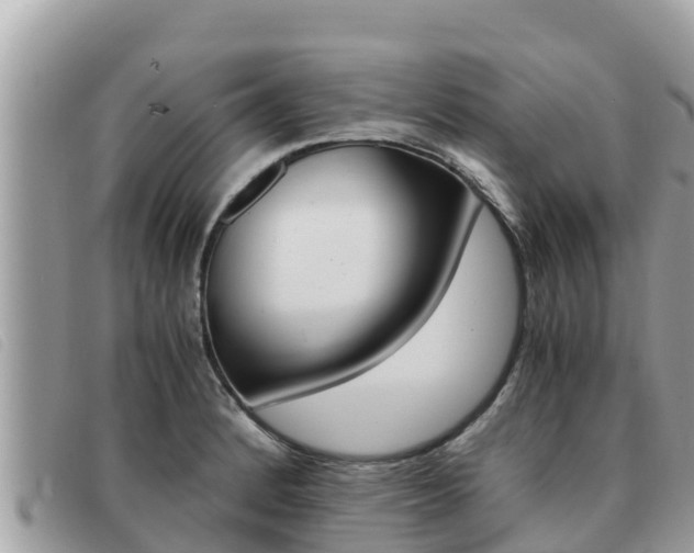 X0000091541184200708171004