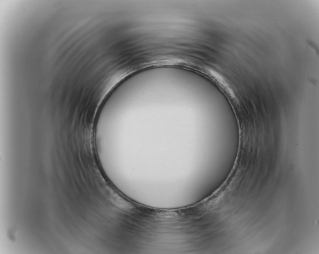 X0000091541186200708171004
