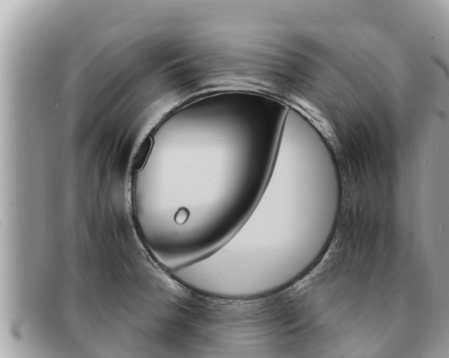 X0000091541188200708171004