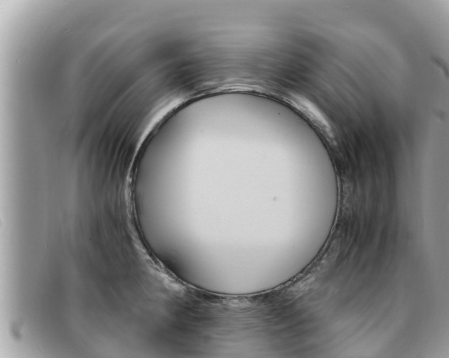 X0000091541190200708171004