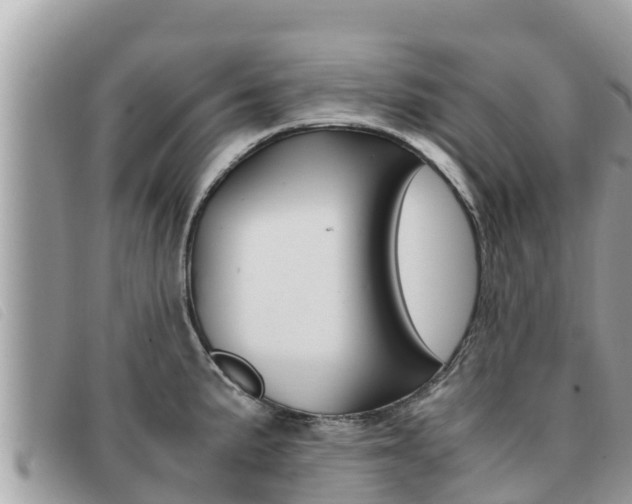 X0000091541191200708171004