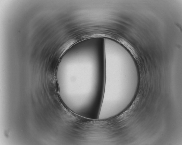 X0000091541193200708171004