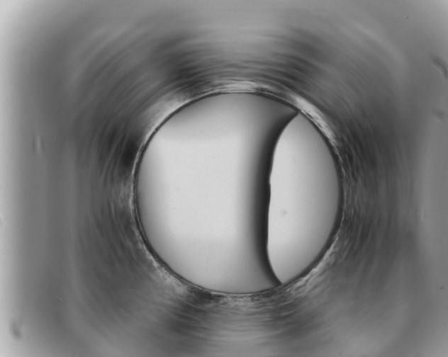 X0000091541194200708171004