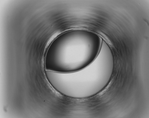 X0000091541196200708171004