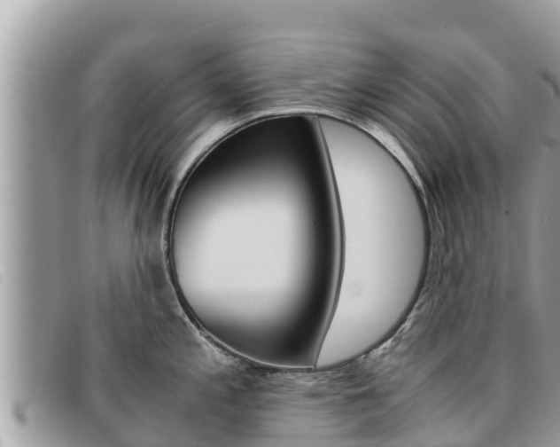 X0000091541197200708171004