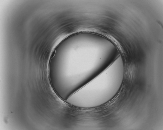 X0000091541199200708171004