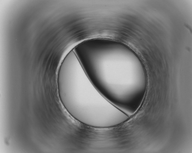 X0000091541200200708171004