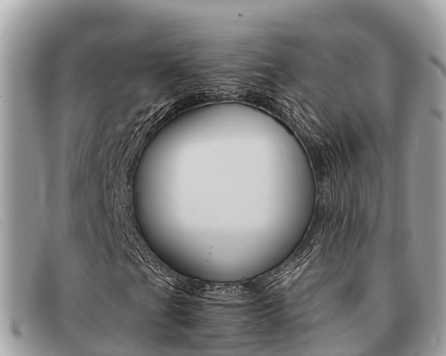 X0000091541201200708171003