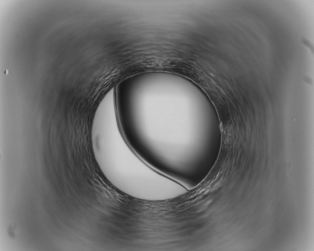 X0000091541202200708171003