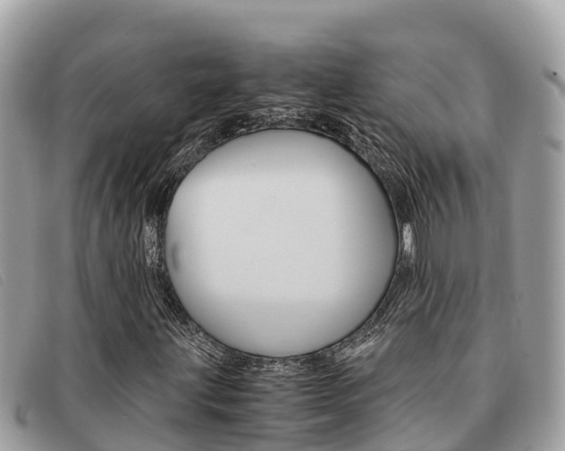 X0000091541203200708171003