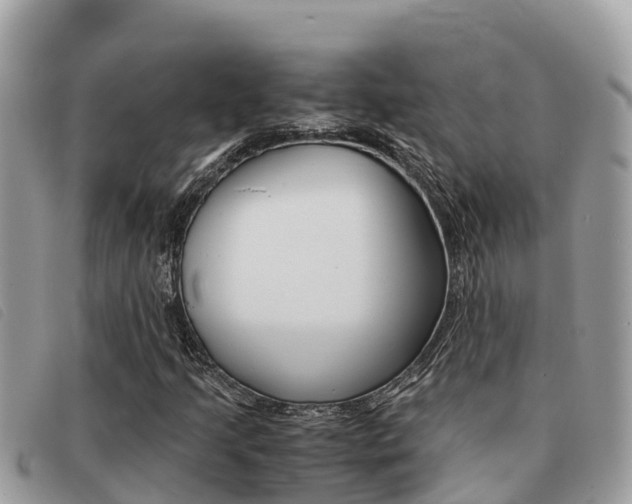 X0000091541205200708171003
