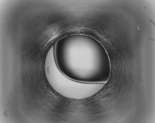 X0000091541206200708171003