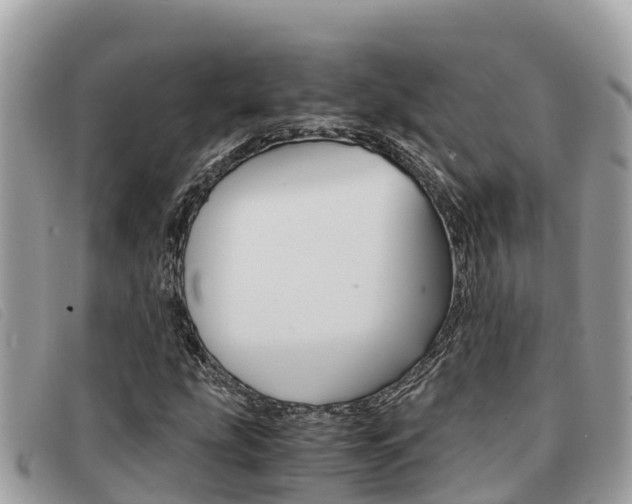 X0000091541207200708171003