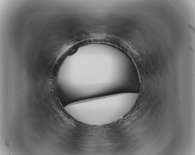 X0000091541208200708171003