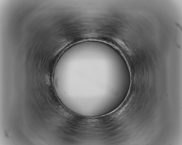 X0000091541209200708171003