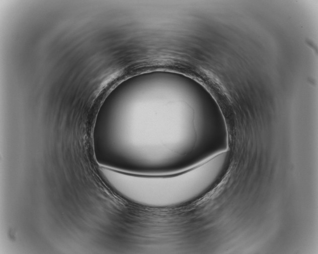 X0000091541210200708171003