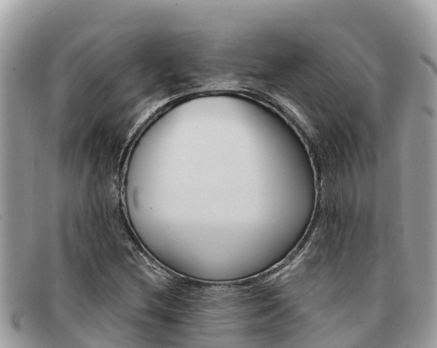 X0000091541212200708171003