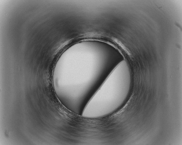 X0000091541213200708171003