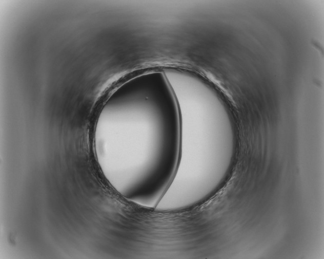 X0000091541214200708171003