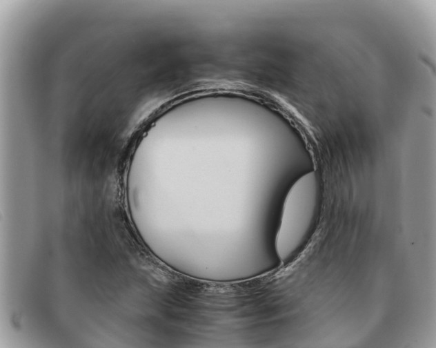 X0000091541215200708171003