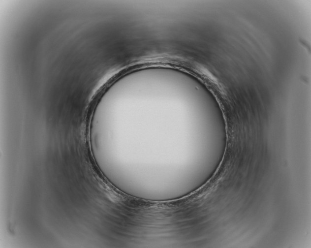 X0000091541216200708171003