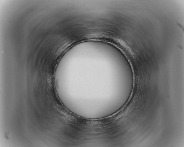 X0000091541217200708171003