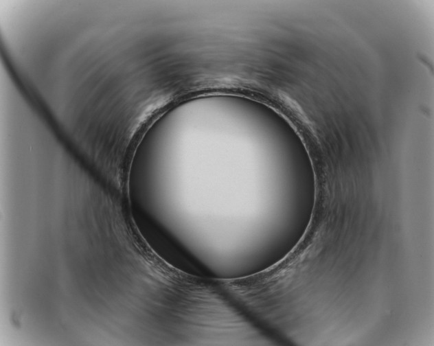 X0000091541218200708171003