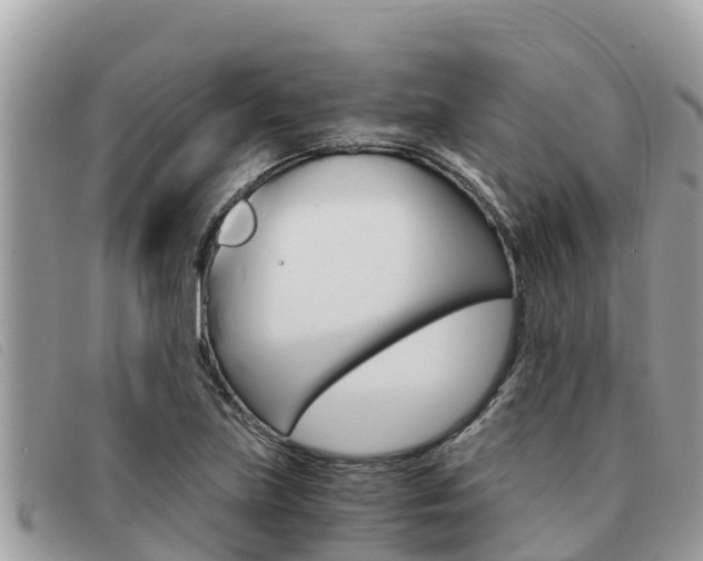 X0000091541219200708171003