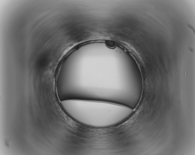 X0000091541220200708171003