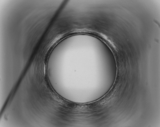 X0000091541221200708171003