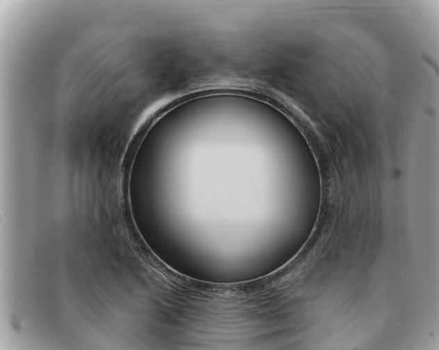 X0000091541222200708171003