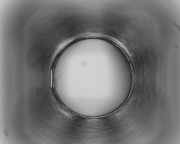 X0000091541223200708171003
