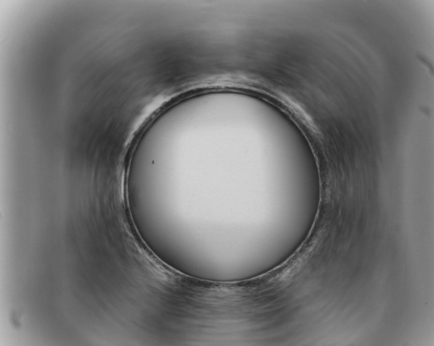X0000091541224200708171003