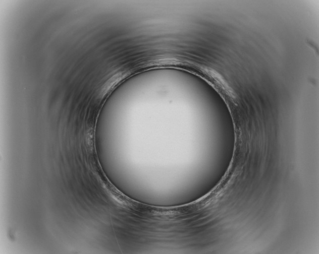 X0000091541225200708171003
