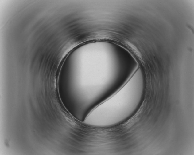 X0000091541226200708171003
