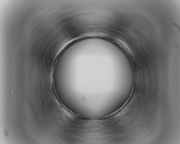 X0000091541228200708171003