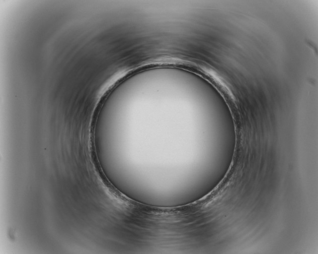 X0000091541229200708171003