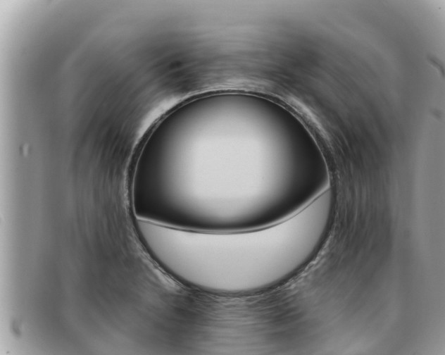 X0000091541230200708171003