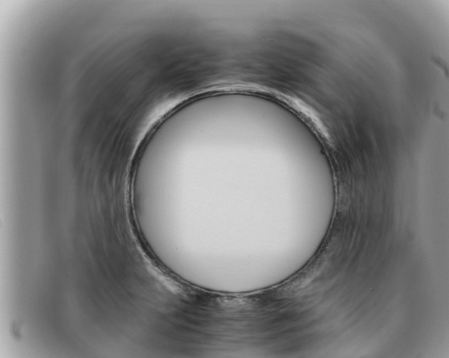 X0000091541231200708171003