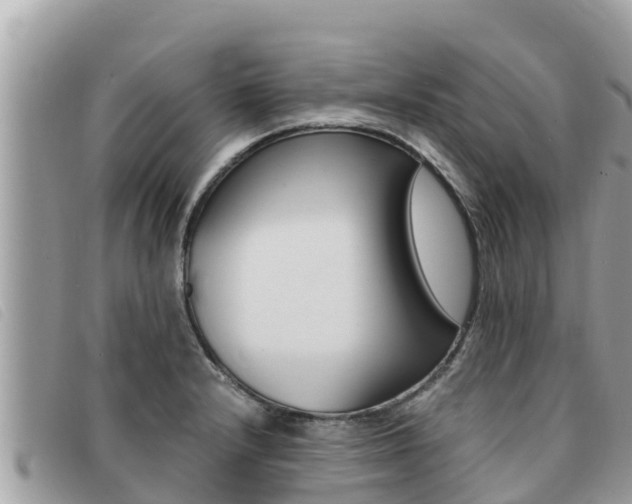 X0000091541232200708171003