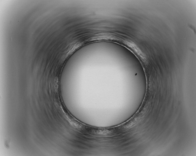 X0000091541233200708171003