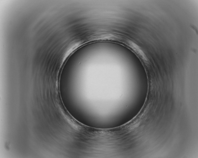X0000091541234200708171003