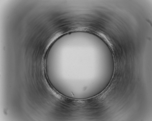 X0000091541235200708171003