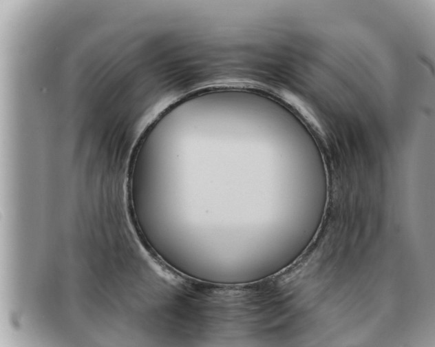 X0000091541237200708171003